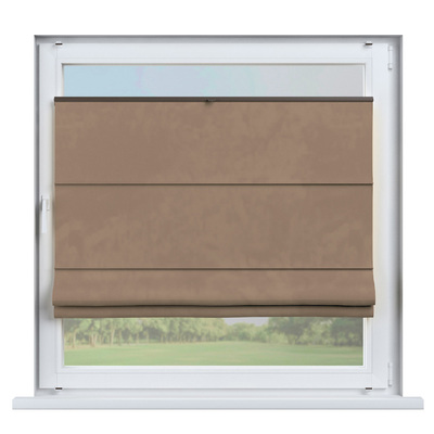 Flexibles Raffrollo Sizilien von der Kollektion Velvet, Stoff: 704-35