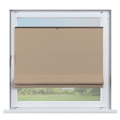 Flexibles Raffrollo Sizilien von der Kollektion Dimout, Stoff: 269-55