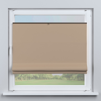 Flexibles Raffrollo Sizilien von der Kollektion Dimout, Stoff: 269-55