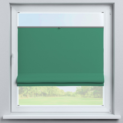 Top Down Bottom Up Roman blind Sicily in collection Dimout, fabric: 269-46