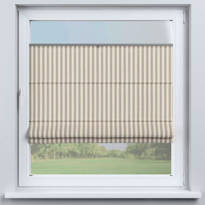 Store romain plissé Sicile dans la collection Quadro, Tissu: 136-12
