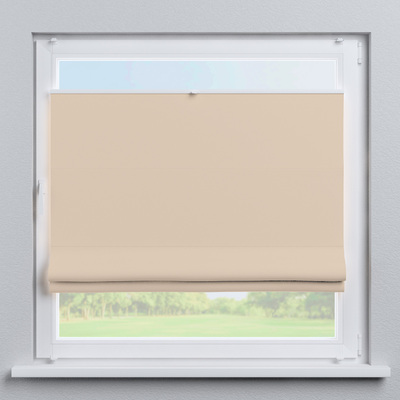 Top Down Bottom Up Roman blind Sicily in collection Dimout, fabric: 269-43