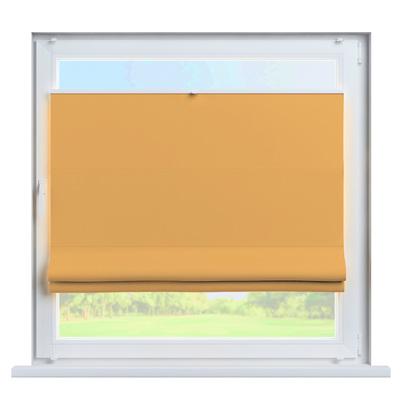 Top Down Bottom Up Roman blind Sicily in collection Dimout, fabric: 269-52