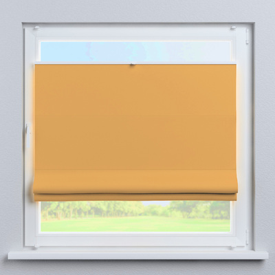 Top Down Bottom Up Roman blind Sicily in collection Dimout, fabric: 269-52