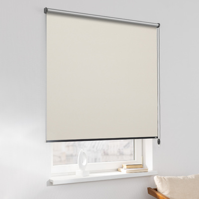 Rulou Classic în colecție Blackout Silver – rulouri textile, țesătură: 054