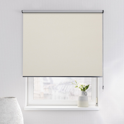 Rulou Classic în colecție Blackout Silver – rulouri textile, țesătură: 054