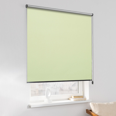Rulou Classic în colecție Blackout Silver – rulouri textile, țesătură: 055