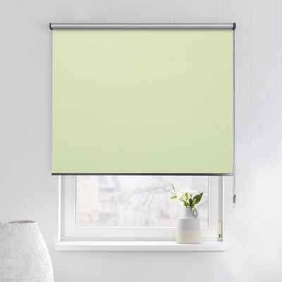 Rulou Classic în colecție Blackout Silver – rulouri textile, țesătură: 055