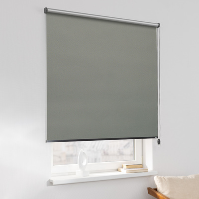 Rulou Classic în colecție Blackout Silver – rulouri textile, țesătură: 061