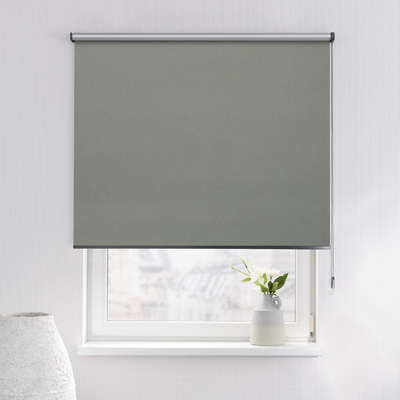 Rulou Classic în colecție Blackout Silver – rulouri textile, țesătură: 061
