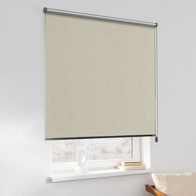 Rulou Classic în colecție Blackout Silver – rulouri textile, țesătură: 064