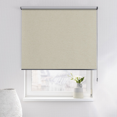 Rulou Classic în colecție Blackout Silver – rulouri textile, țesătură: 064