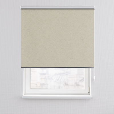 Rulou Classic în colecție Blackout Silver – rulouri textile, țesătură: 064