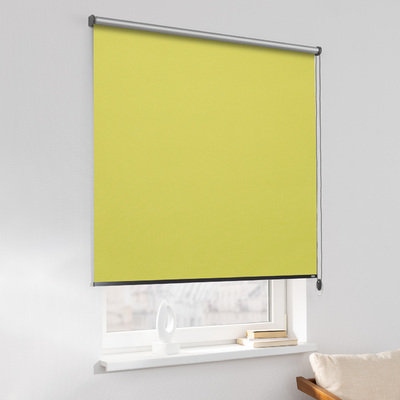 Rulou Classic în colecție Blackout Silver – rulouri textile, țesătură: 067