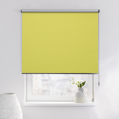 Rulou Classic în colecție Blackout Silver – rulouri textile, țesătură: 067