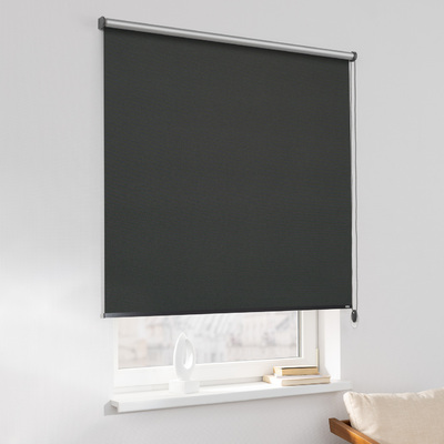 Rulou Classic în colecție Blackout Silver – rulouri textile, țesătură: 069