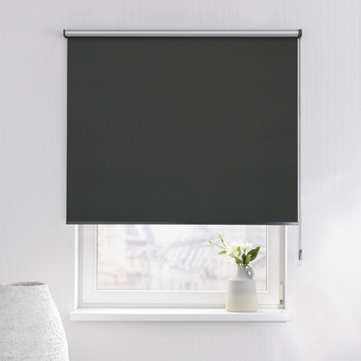 Rulou Classic în colecție Blackout Silver – rulouri textile, țesătură: 069