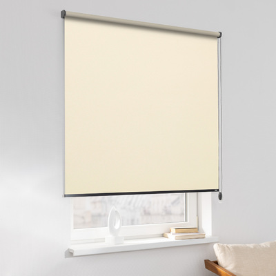 Rulou Classic în colecție Blackout – rulouri textile, țesătură: MGR052