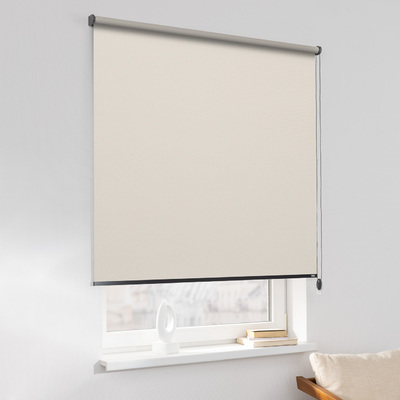 Rulou Classic în colecție Blackout – rulouri textile, țesătură: MGR054
