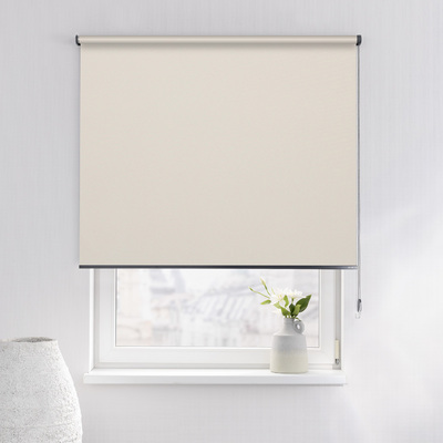 Rulou Classic în colecție Blackout – rulouri textile, țesătură: MGR054