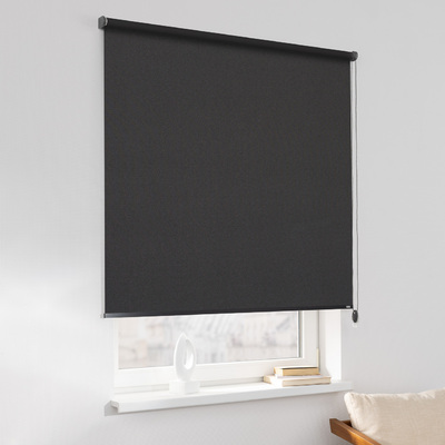 Rulou Classic în colecție Blackout – rulouri textile, țesătură: MGR069
