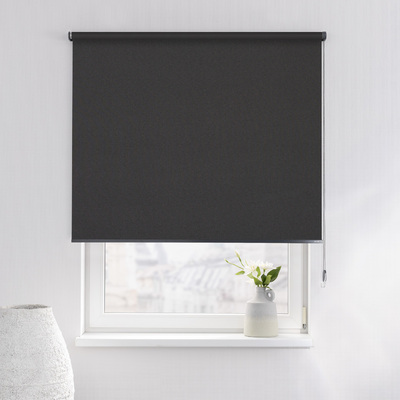 Rulou Classic în colecție Blackout – rulouri textile, țesătură: MGR069