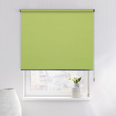 Rulou Classic în colecție Blackout – rulouri textile, țesătură: MGR205