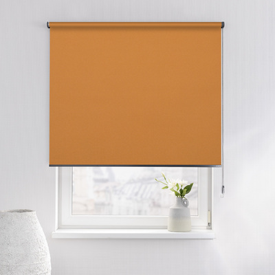 Rulou Classic în colecție Blackout – rulouri textile, țesătură: MGR212