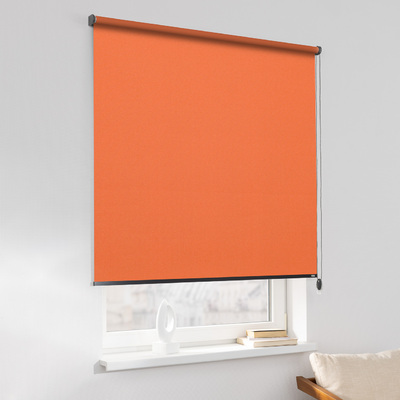 Rulou Classic în colecție Blackout – rulouri textile, țesătură: MGR213