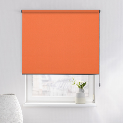 Rulou Classic în colecție Blackout – rulouri textile, țesătură: MGR213