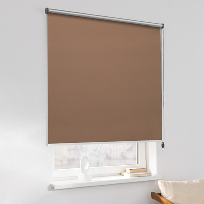 Classic Roller Blind in collection Blackout Silver – roller blinds, fabric: 066