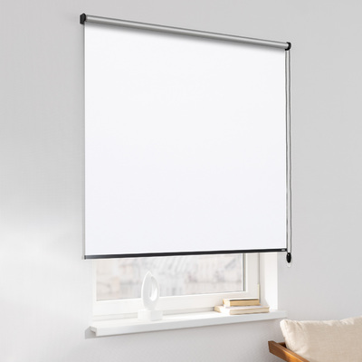 Rulou Classic în colecție Blackout Silver – rulouri textile, țesătură: 051