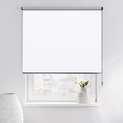 Rulou Classic în colecție Blackout Silver – rulouri textile, țesătură: 051