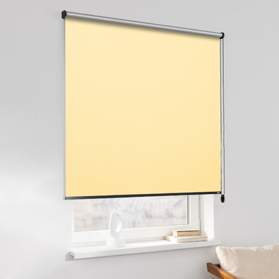 Rulou Classic în colecție Blackout Silver – rulouri textile, țesătură: 057