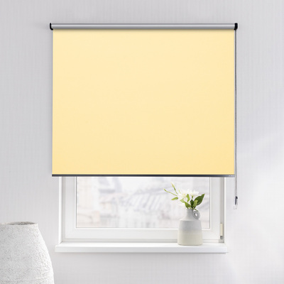 Rulou Classic în colecție Blackout Silver – rulouri textile, țesătură: 057