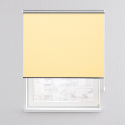 Rulou Classic în colecție Blackout Silver – rulouri textile, țesătură: 057