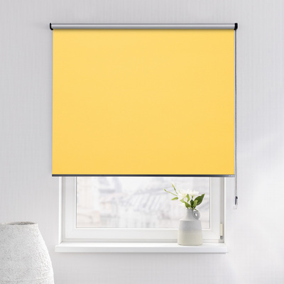 Rulou Classic în colecție Blackout Silver – rulouri textile, țesătură: 059