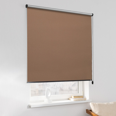 Rullegardiner fra kollektionen Rullegardiner Blackout Silver, Stof: 066