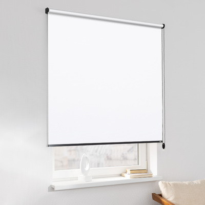 Rulou Classic în colecție Blackout – rulouri textile, țesătură: MGR051
