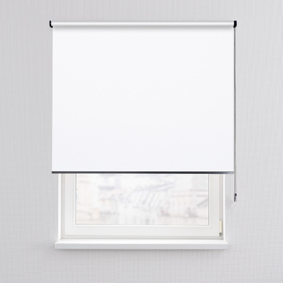 Rulou Classic în colecție Blackout – rulouri textile, țesătură: MGR051