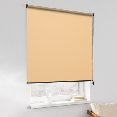 Rulou Classic în colecție Blackout – rulouri textile, țesătură: MGR053