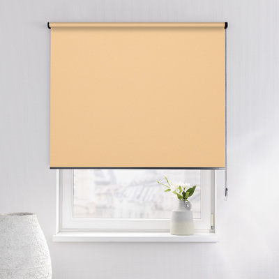 Rulou Classic în colecție Blackout – rulouri textile, țesătură: MGR053