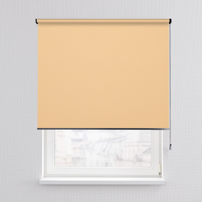 Rulou Classic în colecție Blackout – rulouri textile, țesătură: MGR053