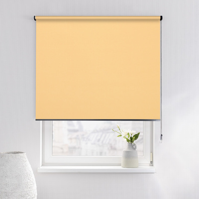 Rulou Classic în colecție Blackout – rulouri textile, țesătură: MGR058