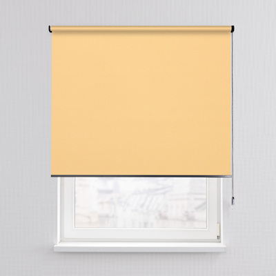 Rulou Classic în colecție Blackout – rulouri textile, țesătură: MGR058