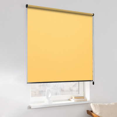 Rulou Classic în colecție Blackout – rulouri textile, țesătură: MGR059