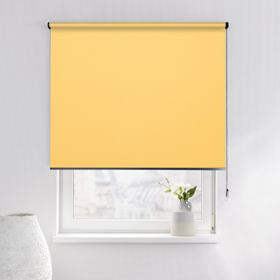Rulou Classic în colecție Blackout – rulouri textile, țesătură: MGR059