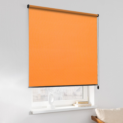 Rulou Classic în colecție Blackout – rulouri textile, țesătură: MGR060