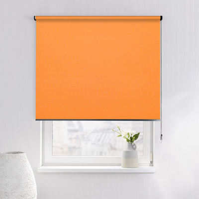 Rulou Classic în colecție Blackout – rulouri textile, țesătură: MGR060