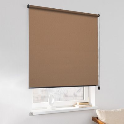 Rulou Classic în colecție Blackout – rulouri textile, țesătură: MGR066
